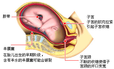 һa(chn)