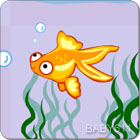 С~Little Goldfish